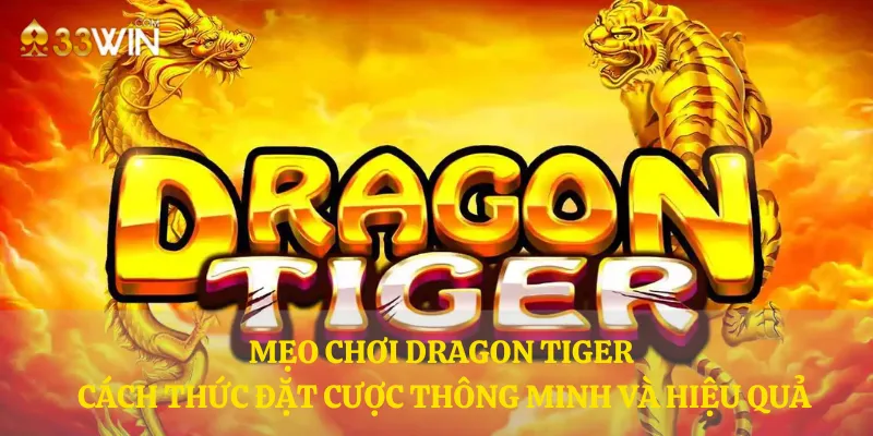 Mẹo chơi Dragon Tiger – Cách thức đặt cược thông minh và hiệu quả